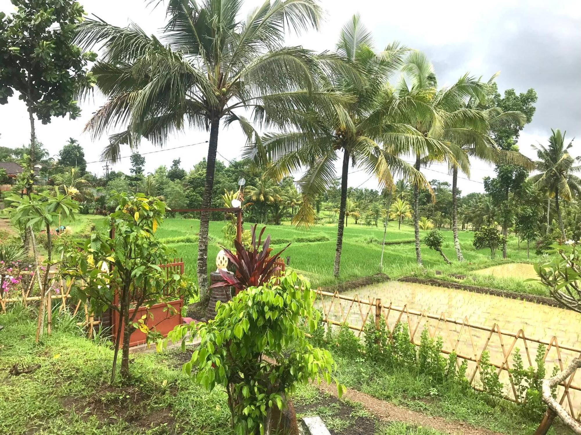 Bello Bungalow Batukliang Buitenkant foto