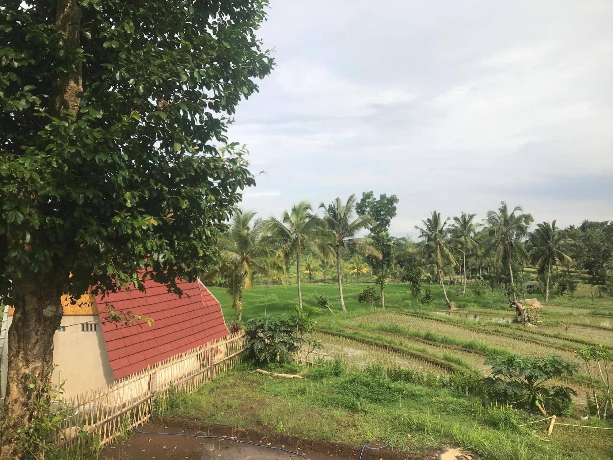 Bello Bungalow Batukliang Buitenkant foto