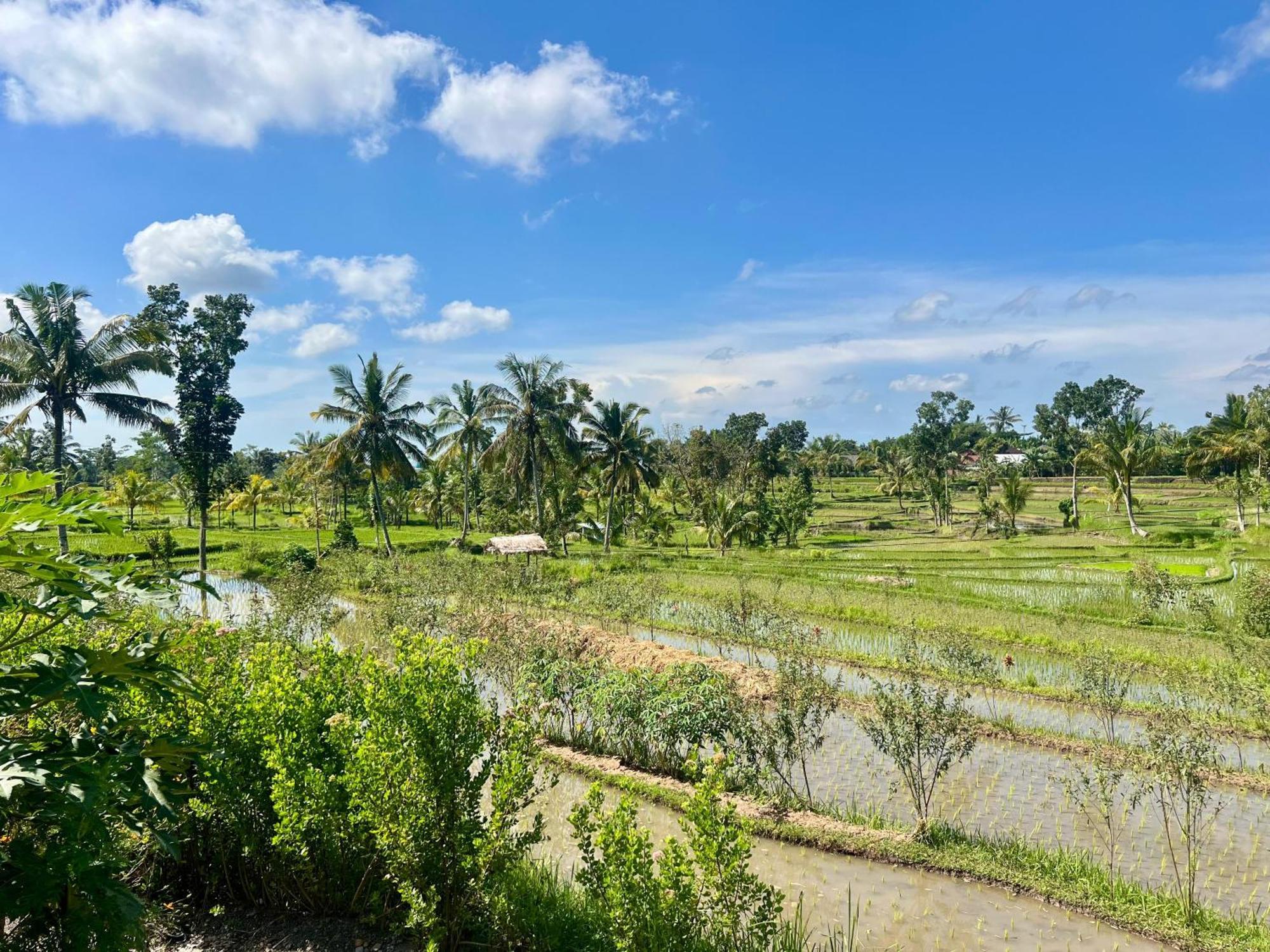 Bello Bungalow Batukliang Buitenkant foto